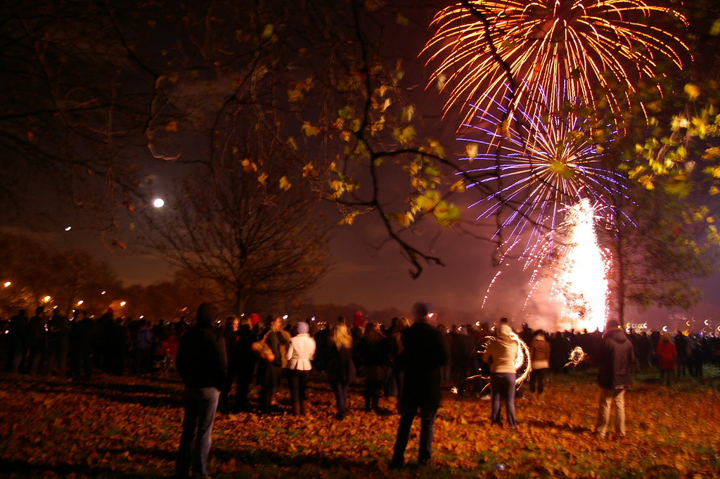 Crowd enjoying fireworks Patrick Donnelly Flickr