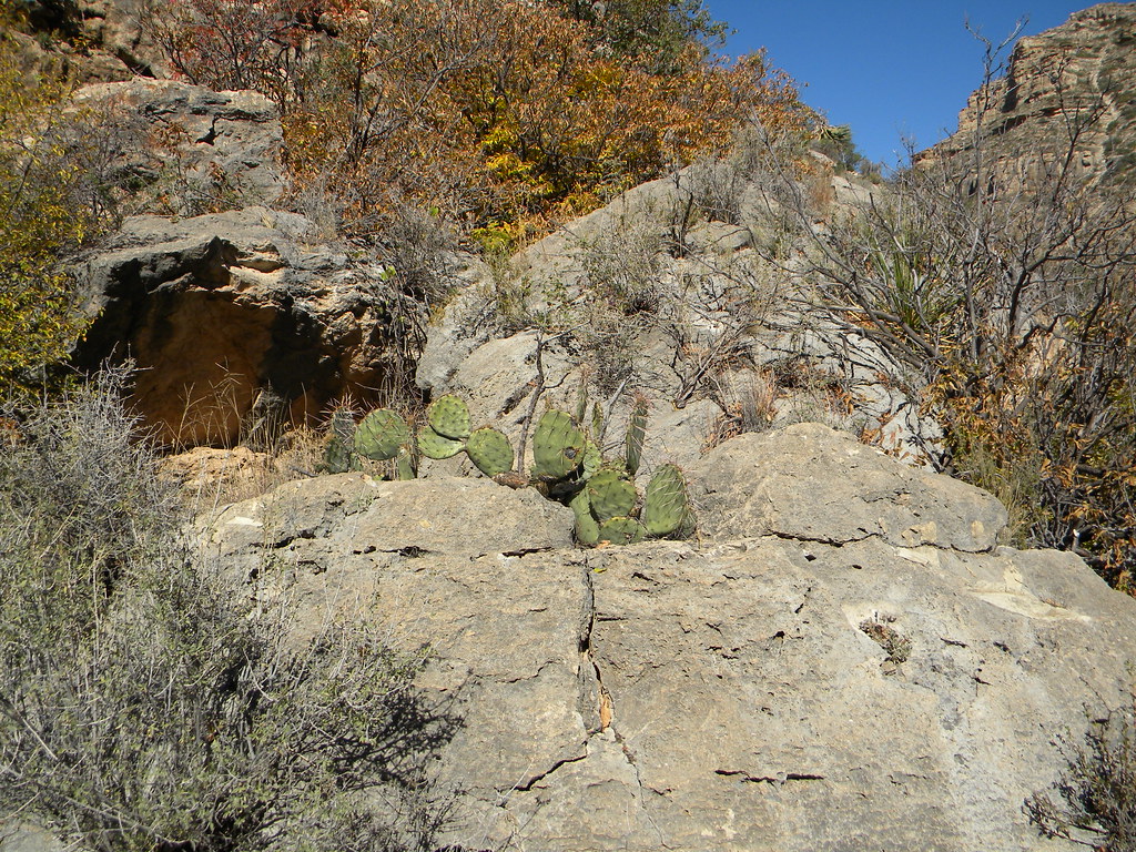 Sitting Bull Falls Visit Carlsbad New Mexico