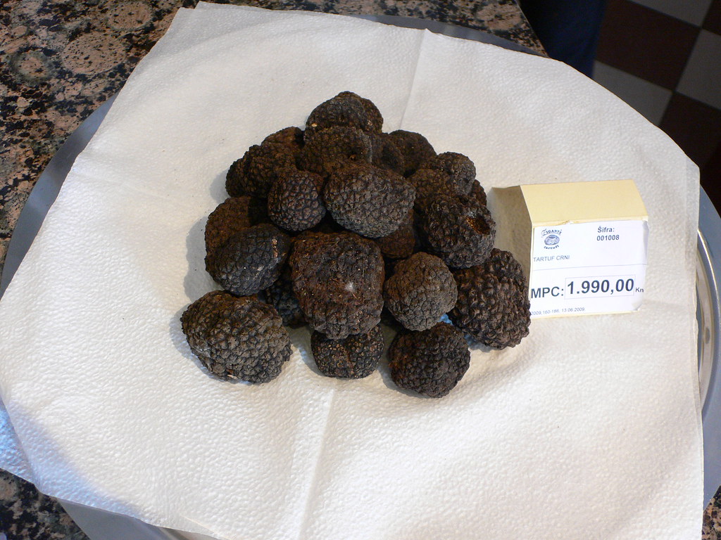 Truffles at Zigante in Istria, Croatia Read my travel blog… Flickr