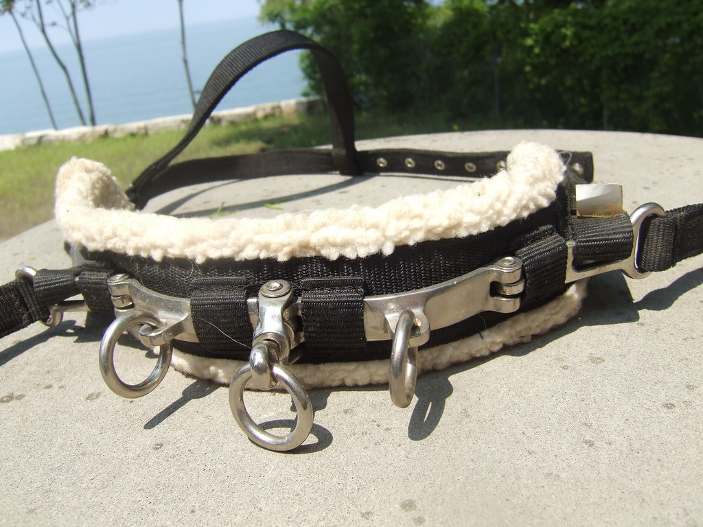 Nylon lunging cavesson Hardly used nylon lunging cavesson.… Flickr