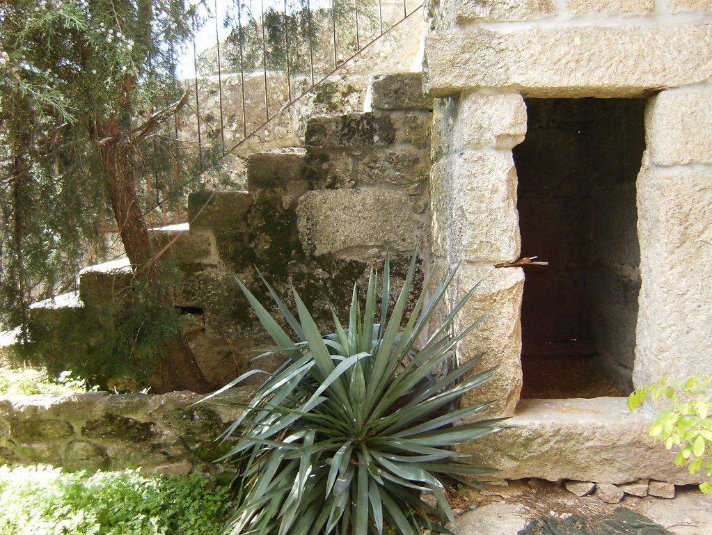 HPIM0135 House for sale Luc01 in Nelas, Beiras, Portugal Russell