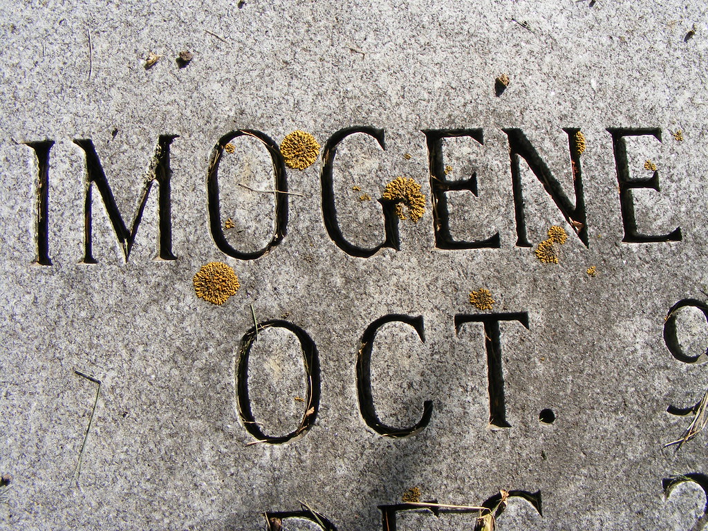 Imogene Cemetery in Ellendale, ND Corwyn Celesil Flickr