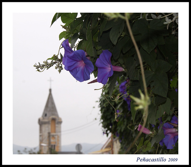 Cajón de Sastre Flickr