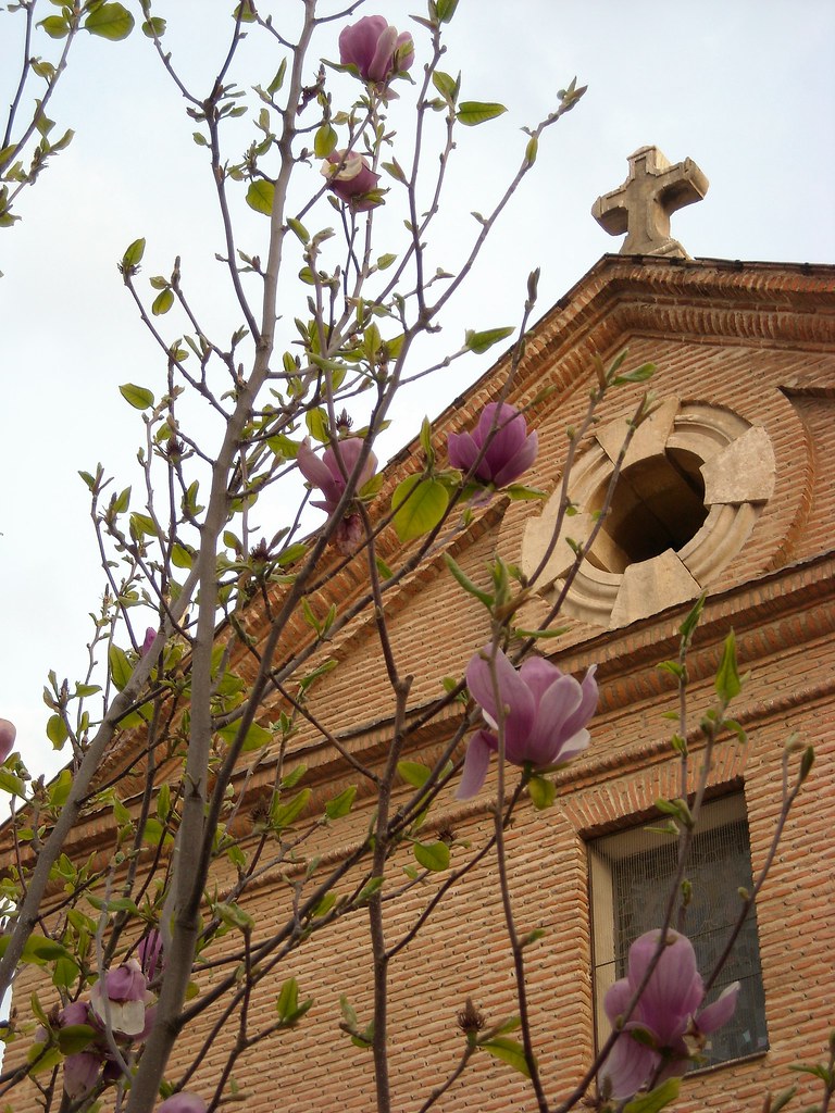 Oratorio de San Felipe Neri (Alcalá de Henares) Virginia Valenciano