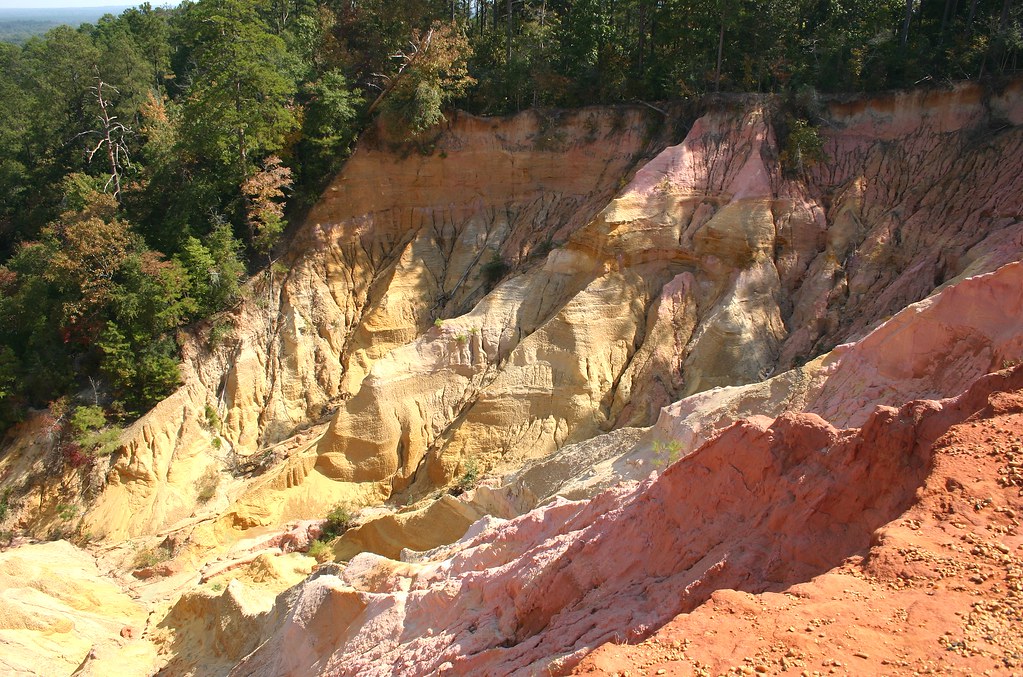 Elevation of Old Rd, Foxworth, MS, USA Topographic Map