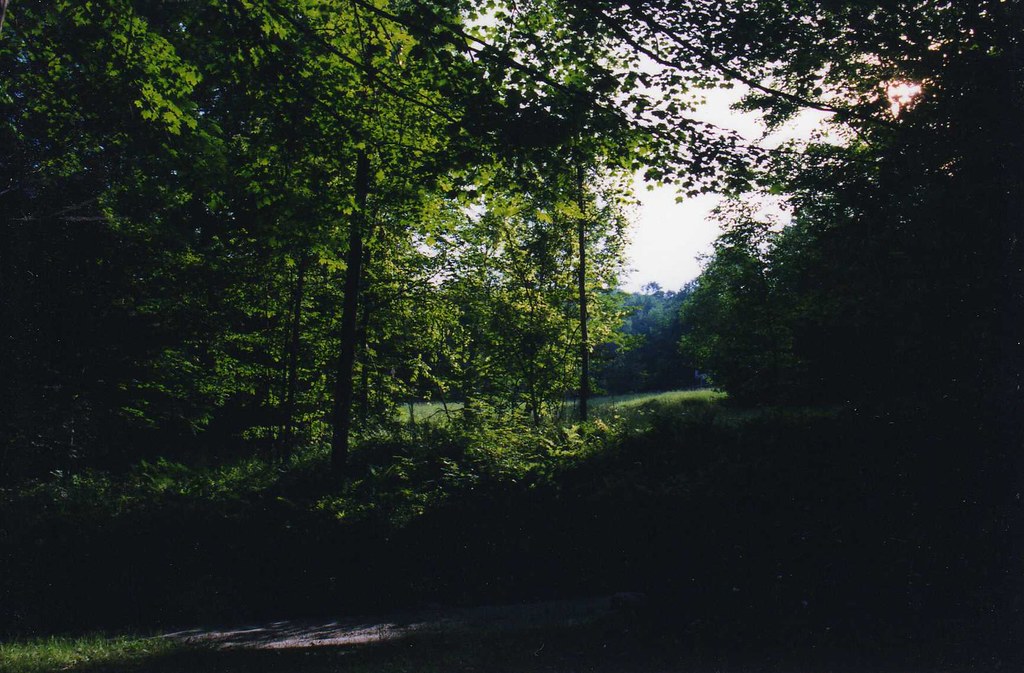 Densmore Hill, Vermont This is looking up onto the land th… Flickr