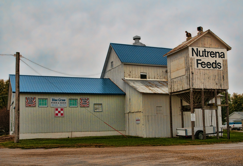 Nutrena Feeds Blue Grass, Iowa Marion Brite Flickr