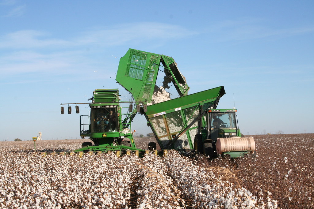IMG_0907 More Texas cotton harvesting Cotton Farming Magazine Flickr