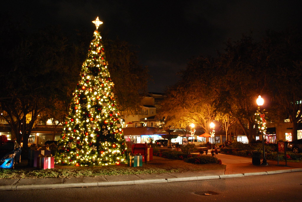 Christmas Tree Hyde Park Tampa Gordon Tarpley Flickr