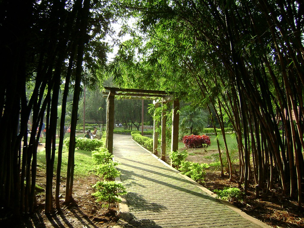 Bamboo Grove Sankey's Tank, N Bangalore Jay Dutta Flickr