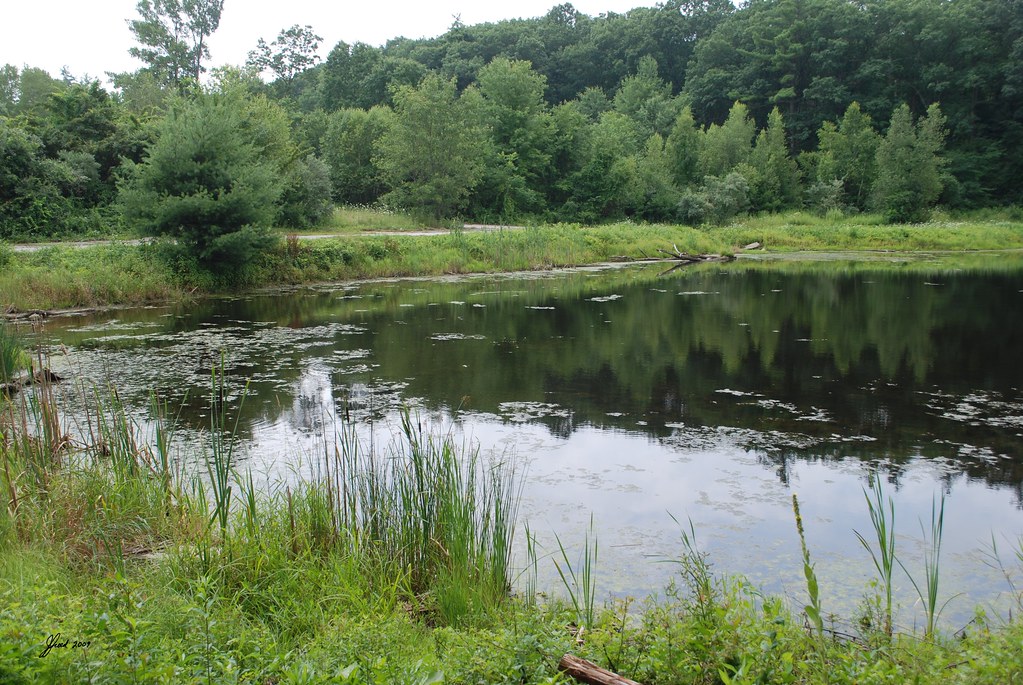 Pond Bensons Animal Park Hudson NH 2009 DSC_4847 Benson's … Flickr
