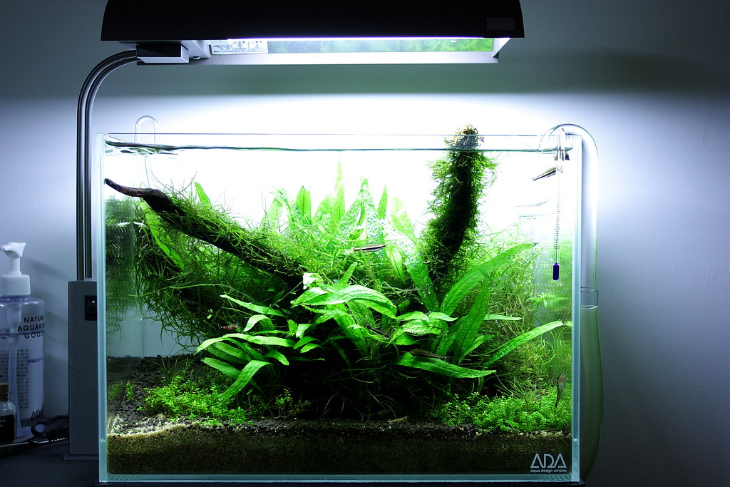 ADA Cube Garden Mini M ADA NA Carbon filter only behind
