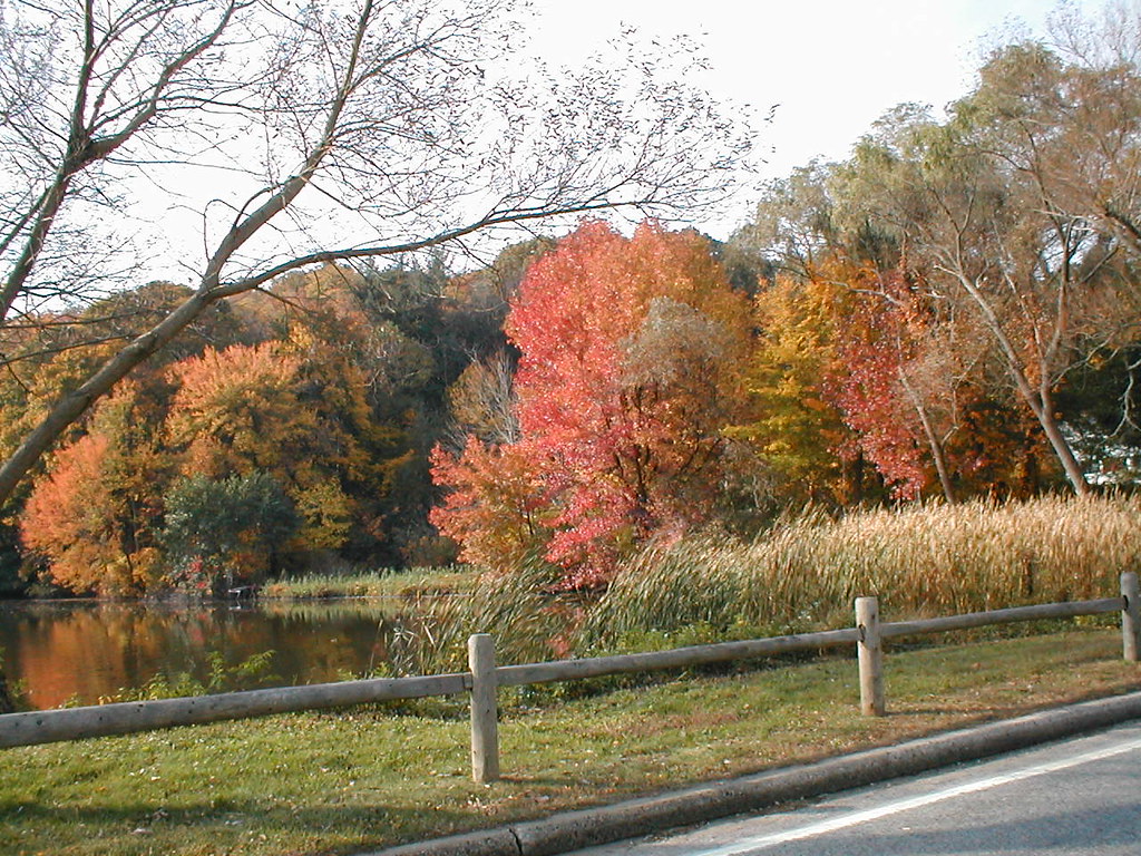 Mill Neck, NY Beaver Dam Jose Oquendo Flickr