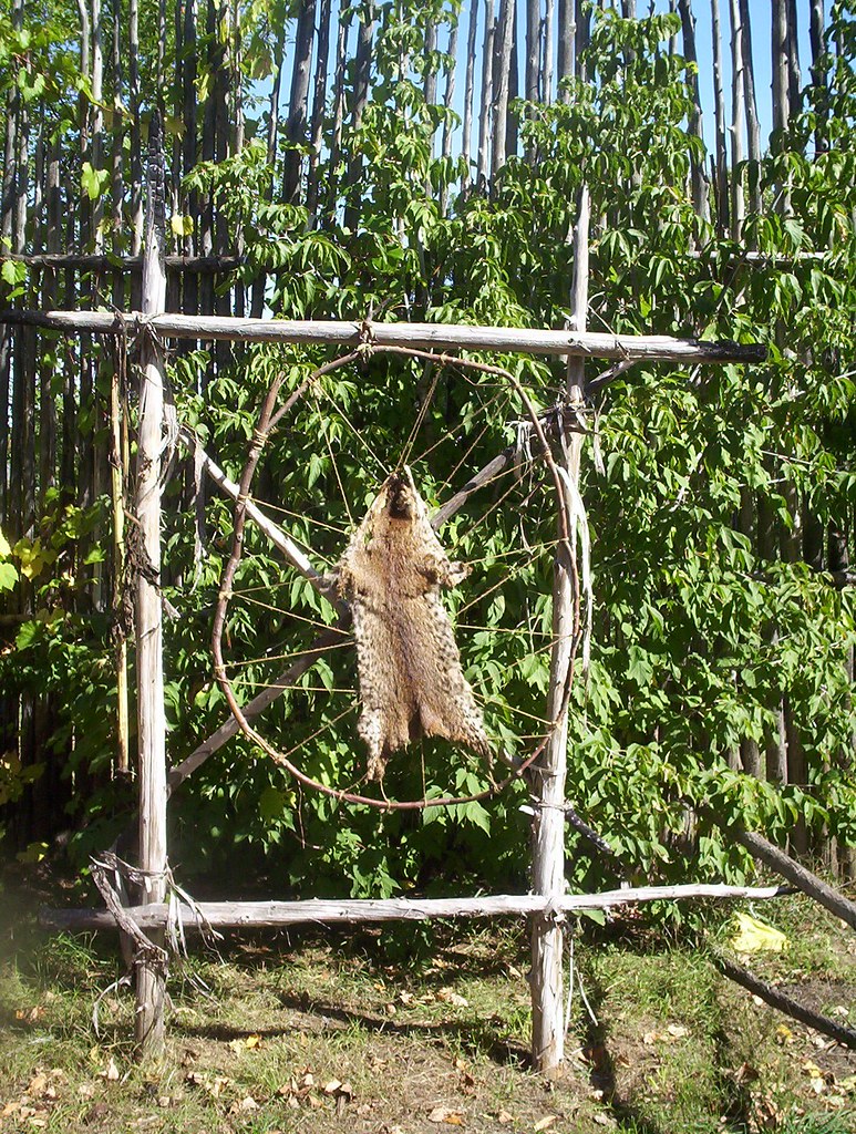 skin some animal being dried in the "village" Canucklibrarian Flickr