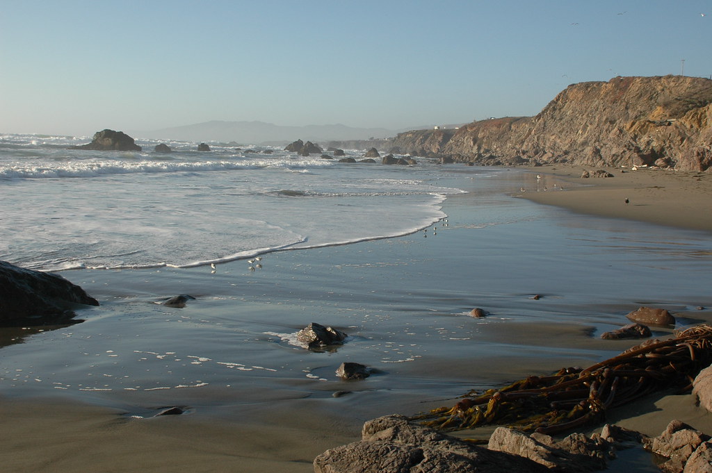 Beach. North Salmon Beach near Bodega Bay, CA. Rich Anderson Flickr