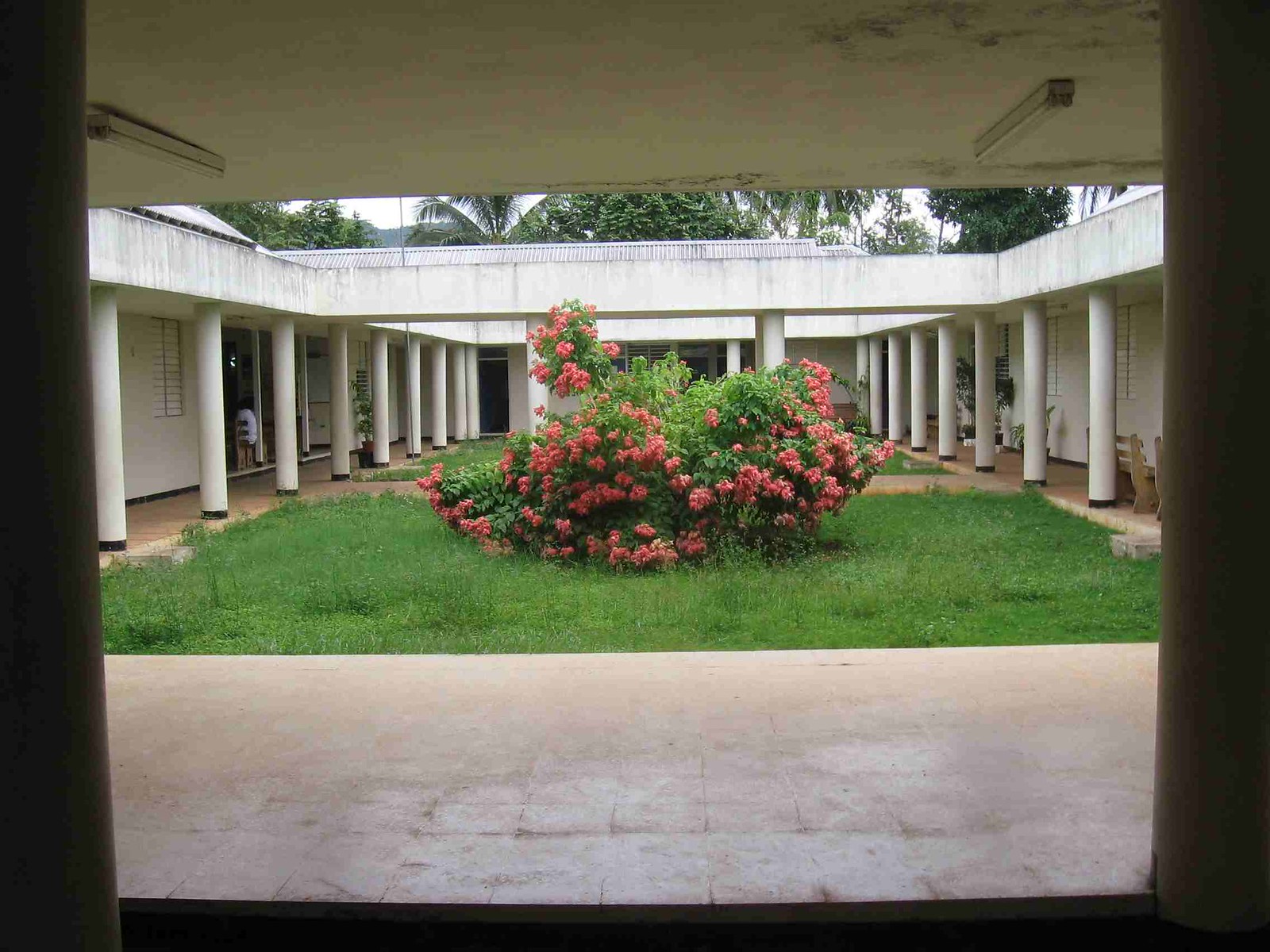 Porus, Manchester, Jamaica Flickr