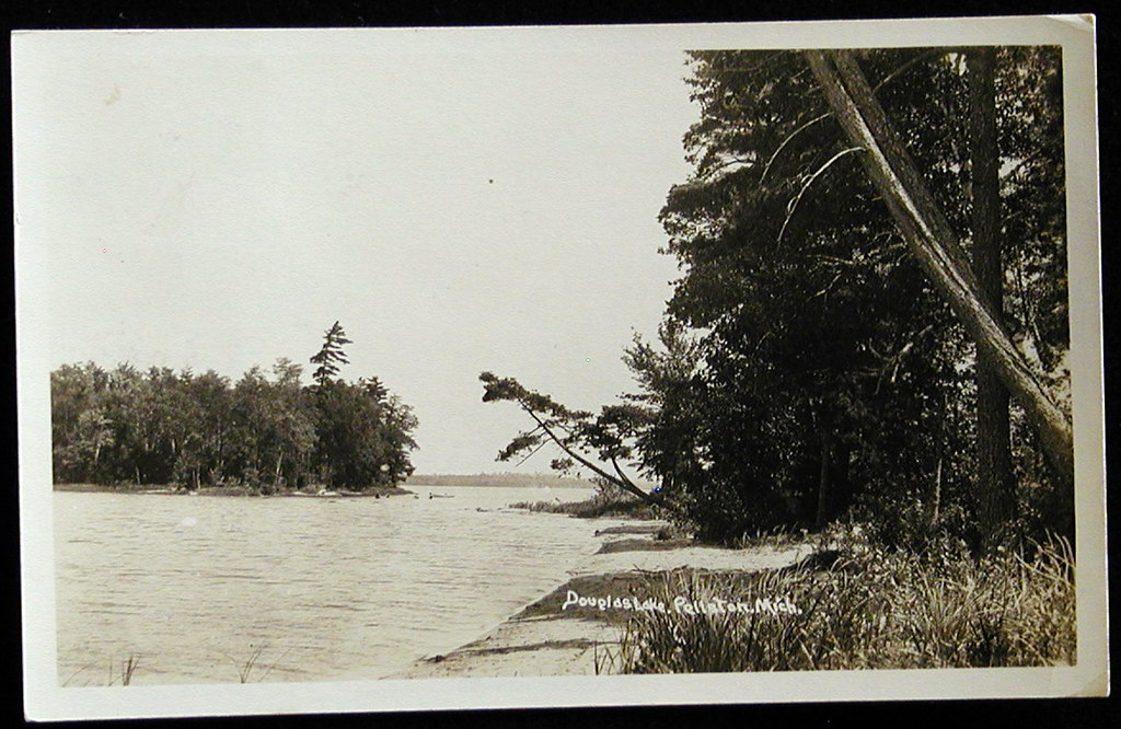 Emmet Pellston MI The "Island at the Point" on Douglas Lak… Flickr