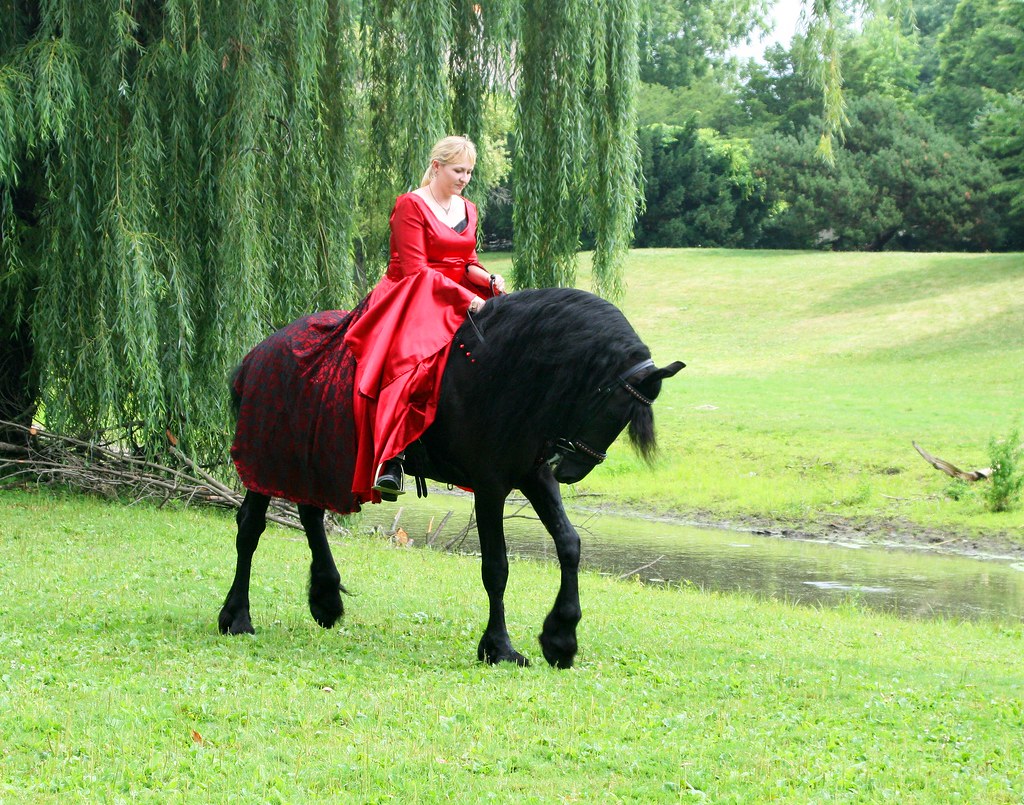 Three Rivers Festival Parade 156 Larissa Allen Flickr