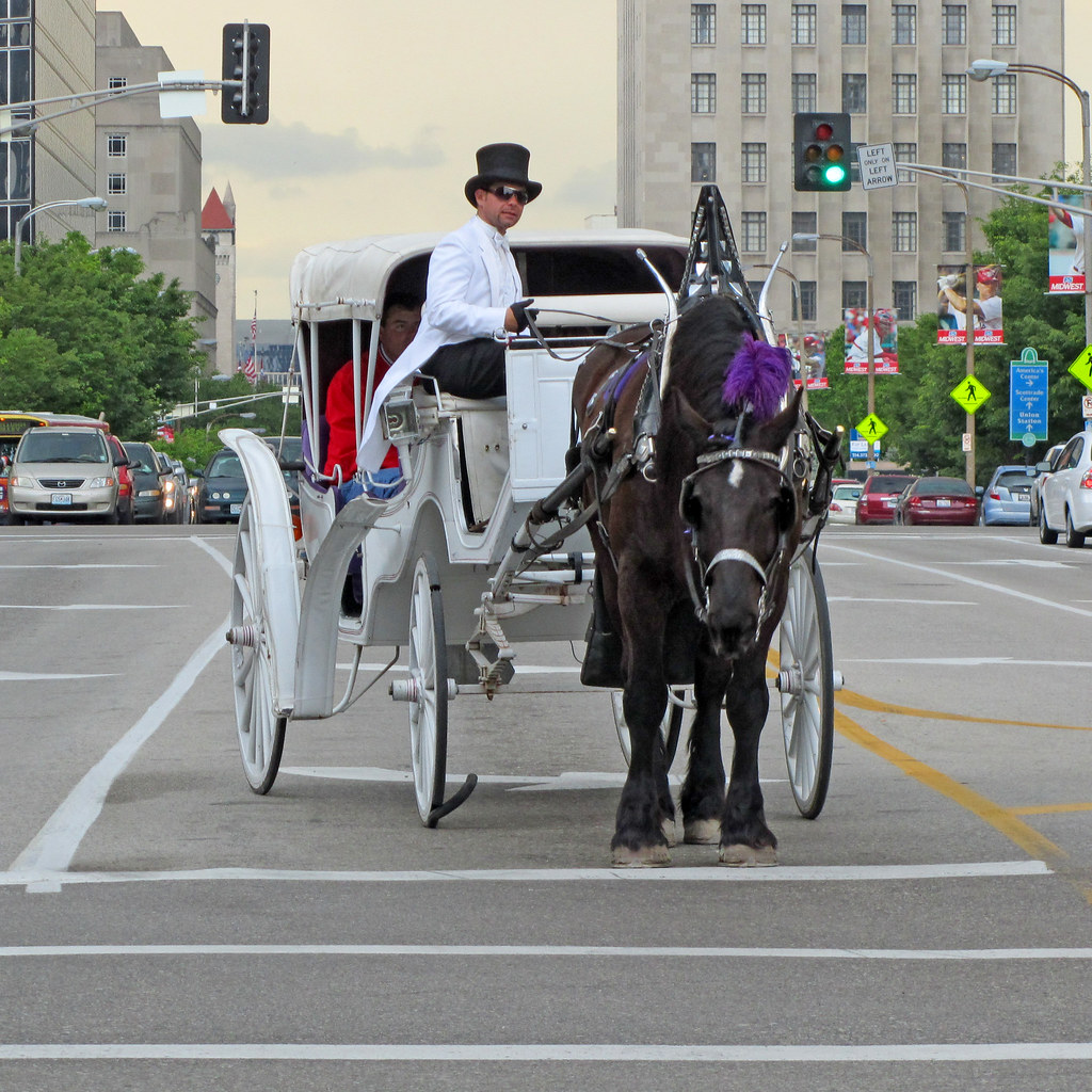 horse and carriage St Louis, Missouri, USA Leo Reynolds Flickr