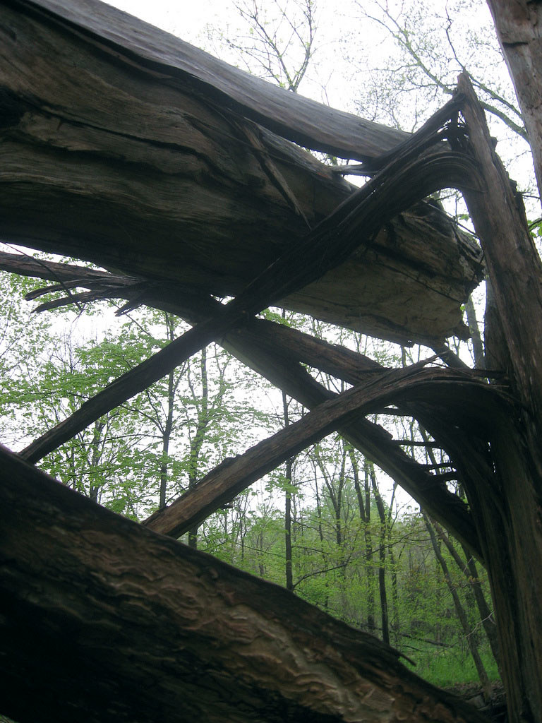 Peace Valley Park, Bucks County PA cormanosanchez Flickr