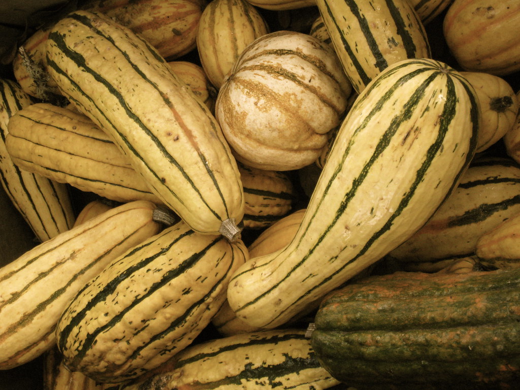 Gowan's Oak Tree Stand Mendocino, CA Megan Strahm Flickr