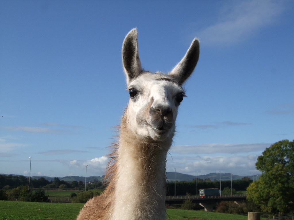 IR0132 Dalscone farm, Dumfries Isabel Ross Flickr