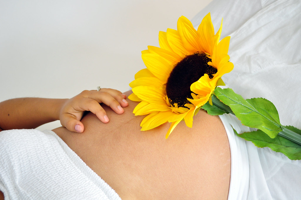 Sunflower Belly Marisol Orona Flickr