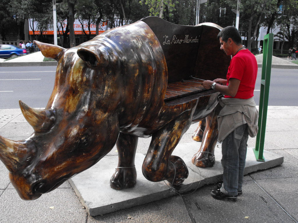 Rinoceronte Marimba Exposición Animal Celebration en Ref… Flickr