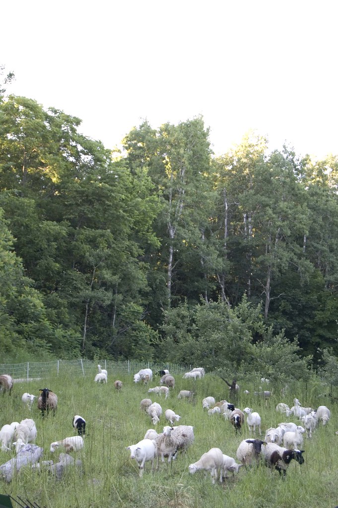 DSC_0509 Soldiers Grove, Wisconsin kilian.frey Flickr