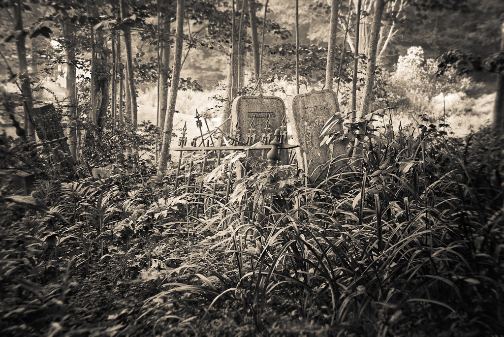 Graves Somewhere in Maine View On Black Anothe… Flickr