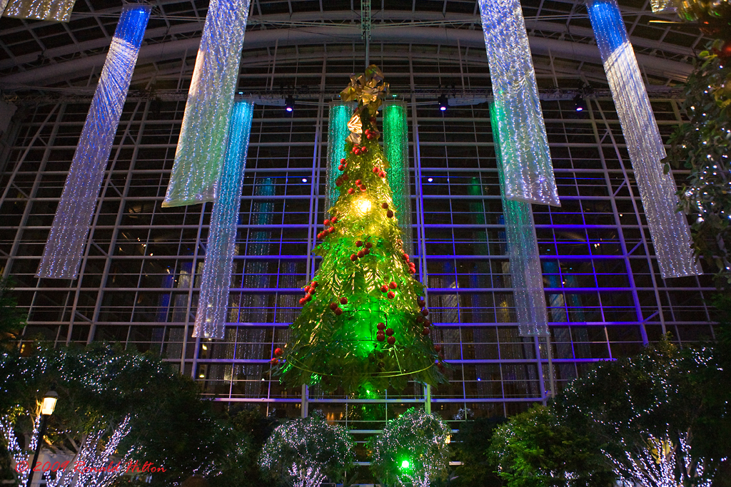 Flickriver Photoset 'Christmas in Washington' by rhilton4u