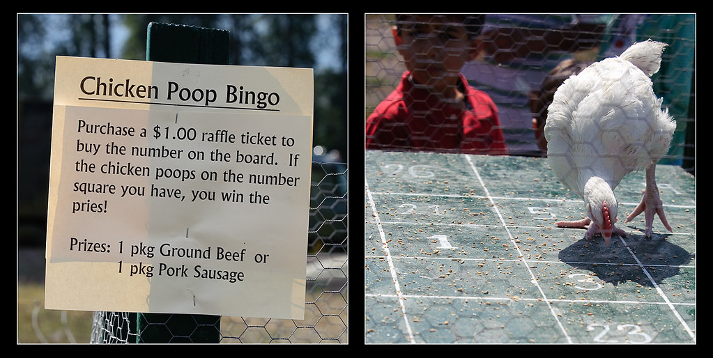 Chicken Poop Bingo Sunday was Skagit River Ranch Farm Day.… Flickr