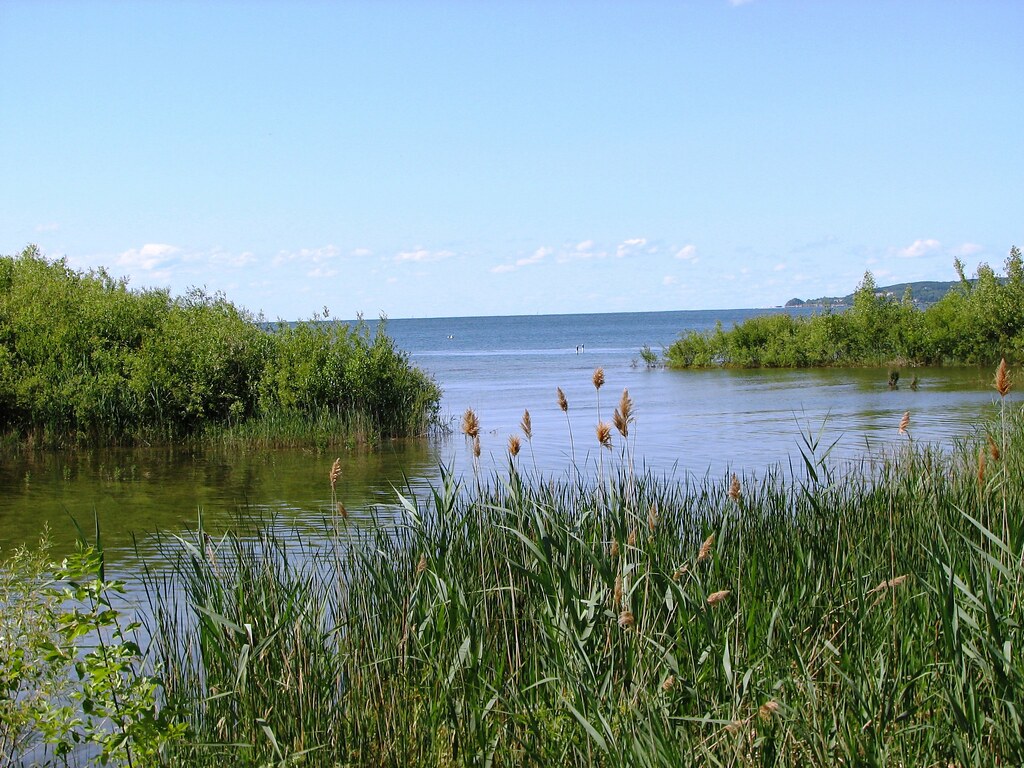 Door County July2009 036 gotashot Flickr