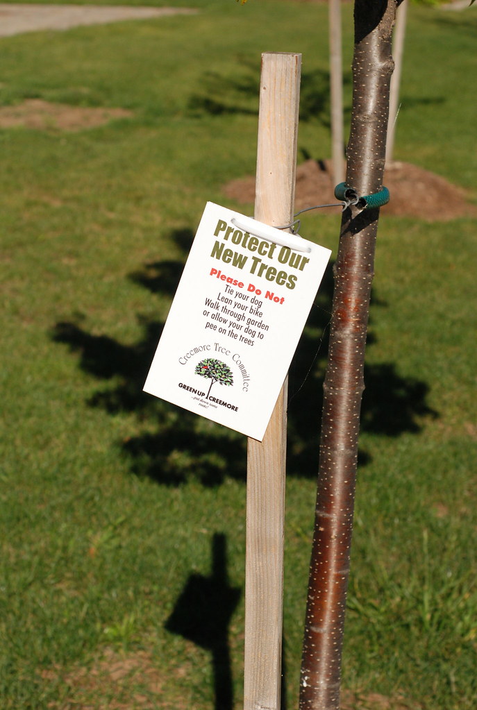 Protect Our New Trees don't let your dogs pee on our trees… Flickr