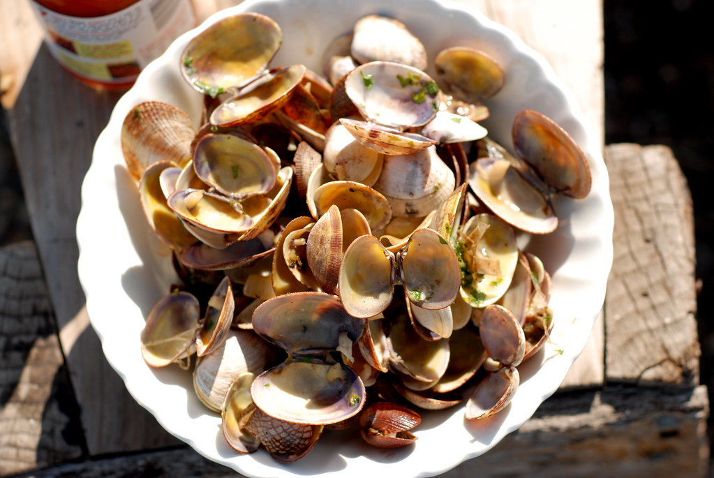 clams Gail Flickr