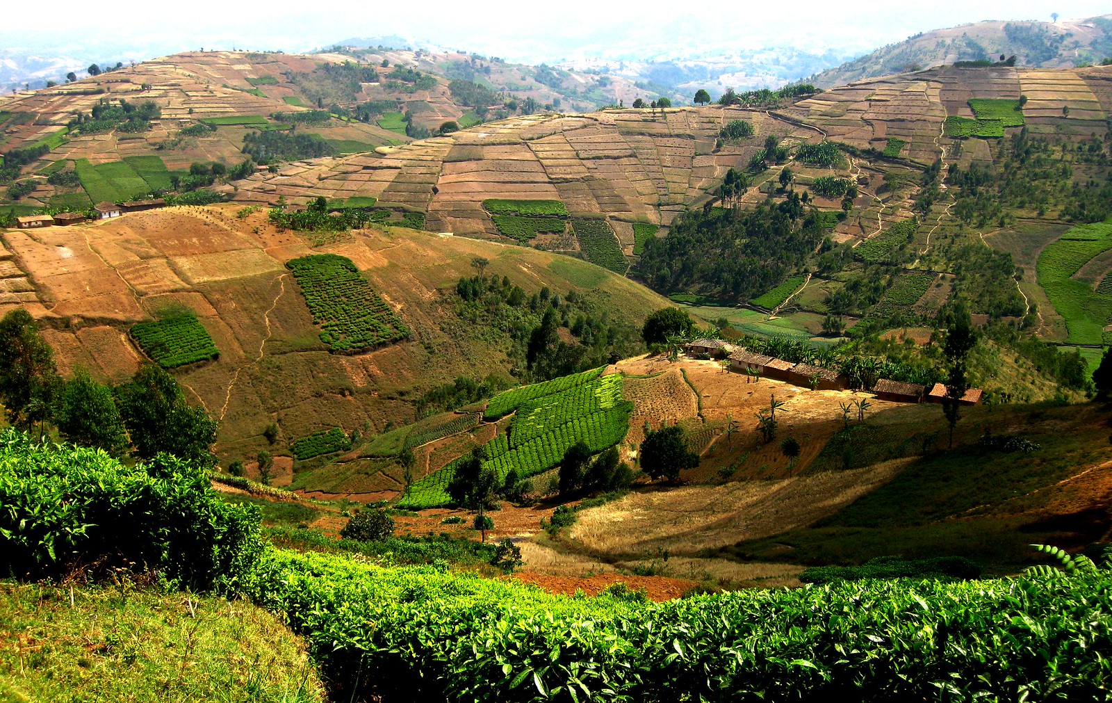 Burundi Flickr