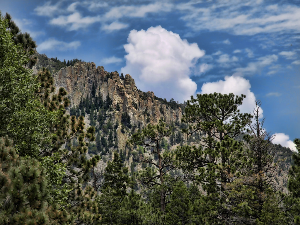 Eagle Nest New Mexico. C Diamond C Ranch Towards Cimarron … Julius