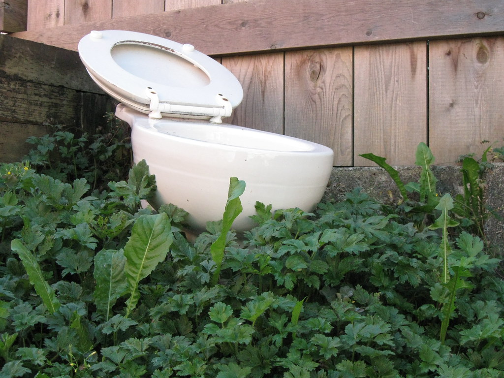 Urine for fertilizer Human urine makes a great fertilizer … Flickr