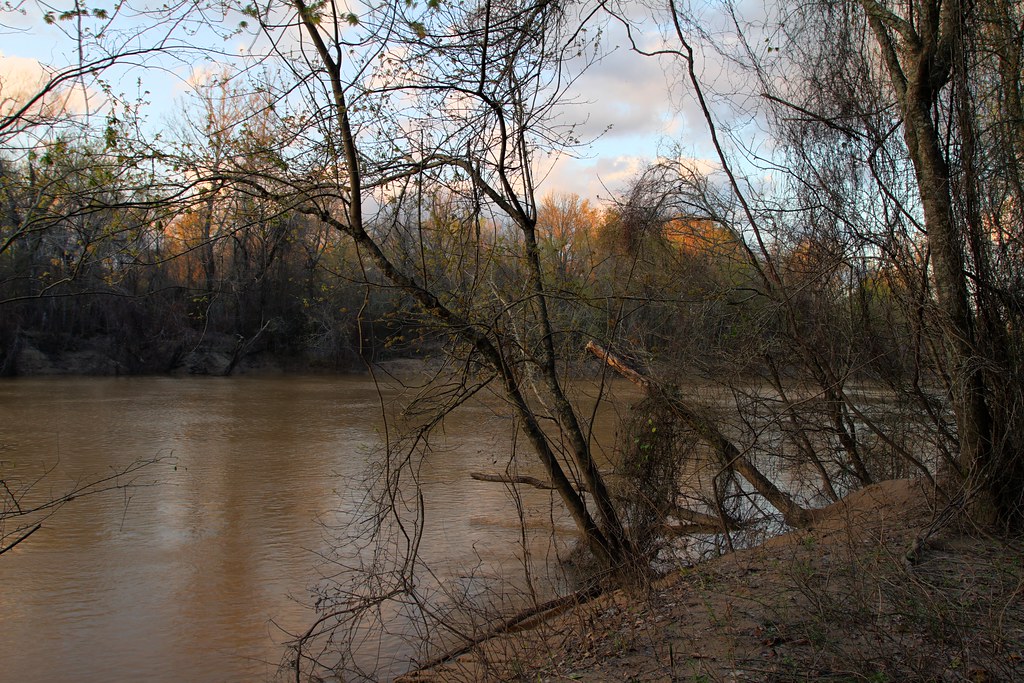 View of the Black River Yazoo/Madison Counties, MS Flickr