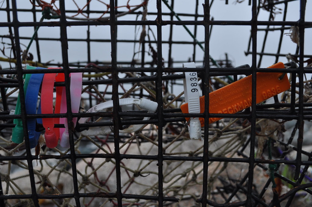 DSC_0490 License Tags on washedup lobster trap Peter Hall Flickr