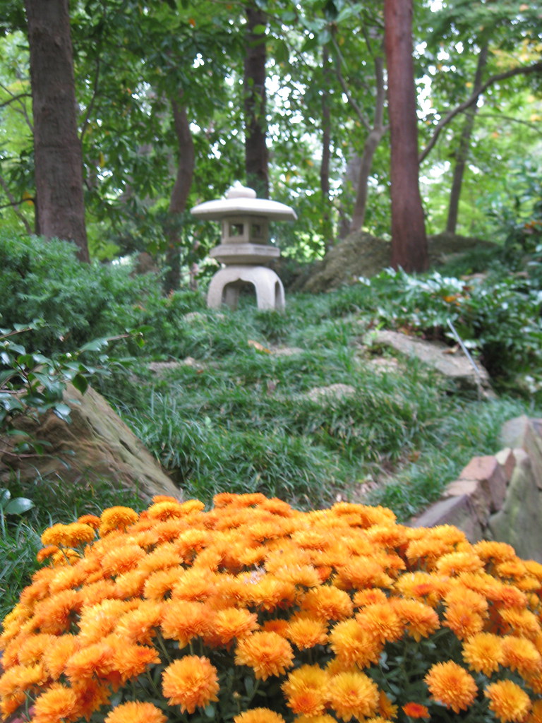 Japanese Gardens Fall Festival in Fort Worth, Texas Flickr
