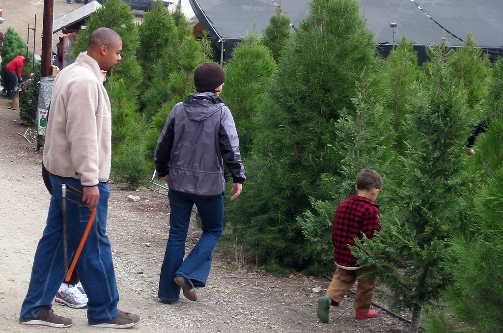 Family searches for Christmas tree Ryan Allen of Van Nuys … Flickr