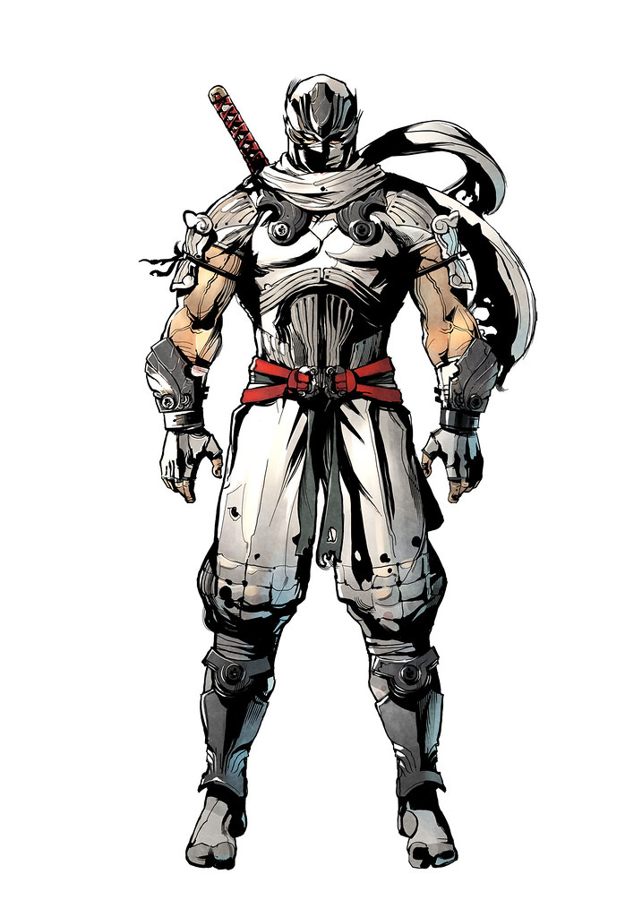 Ninja Gaiden Sigma 2 GameStop Exclusive Preorder Costume Flickr
