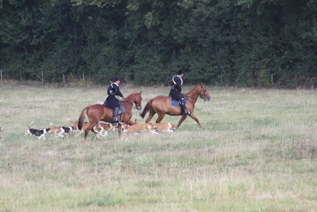 Fête_Chien_Chasse_0057 Château d'Ars _Fête du Chien et