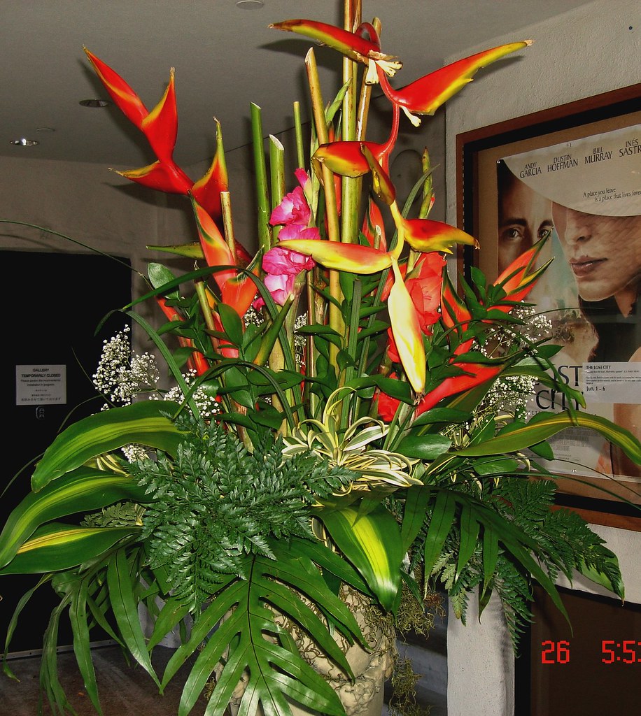 Tropical Hawaii Flower Floral Arrangement Rick Romer Flickr