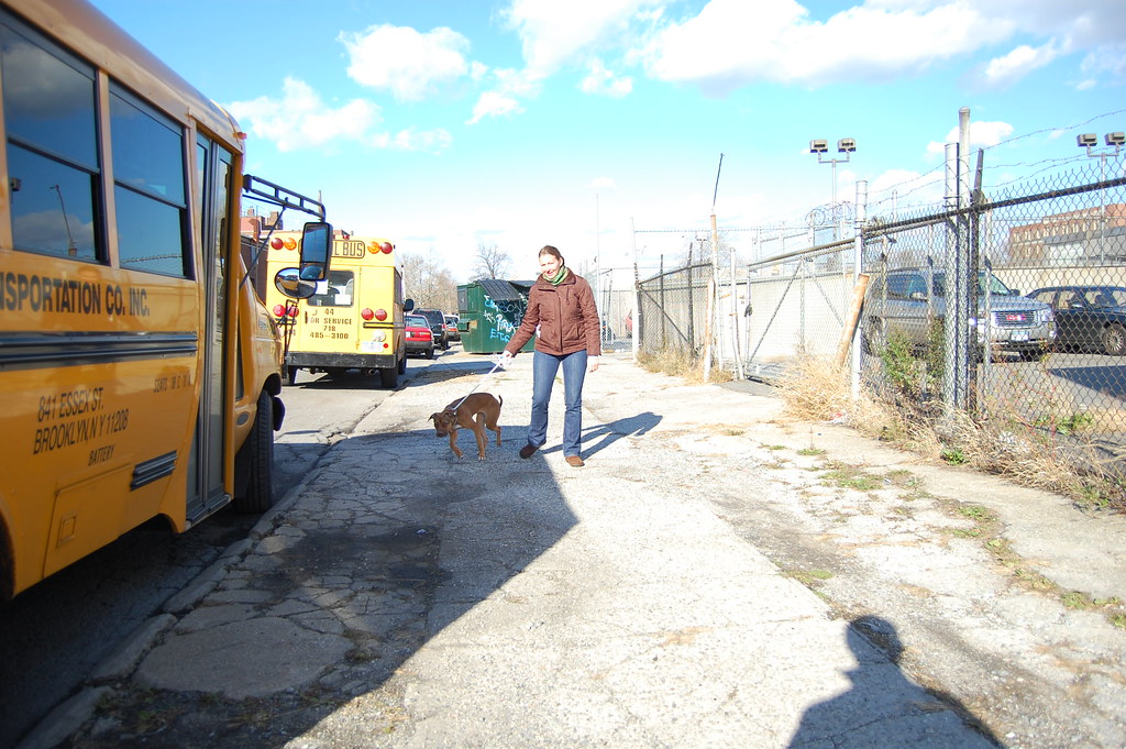 DSC_0130 Brooklyn Animal Care Center 2336 Linden Boulevard… Flickr