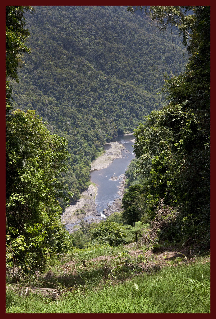 Johnstone River from highlands1& Johnstone River from hig… Flickr