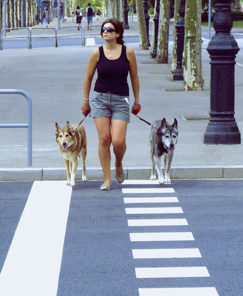 Guide dogs Barcelona chrisk8800 Flickr