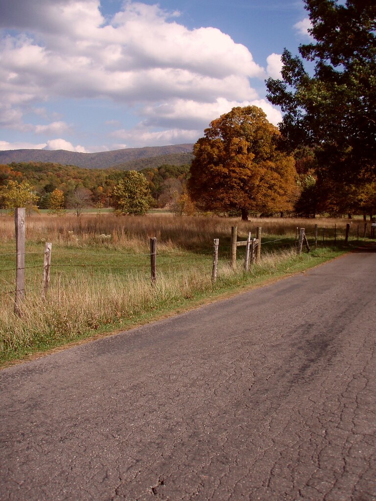 SB33 About the middle of South Branch River Rd, Between Mo… Flickr
