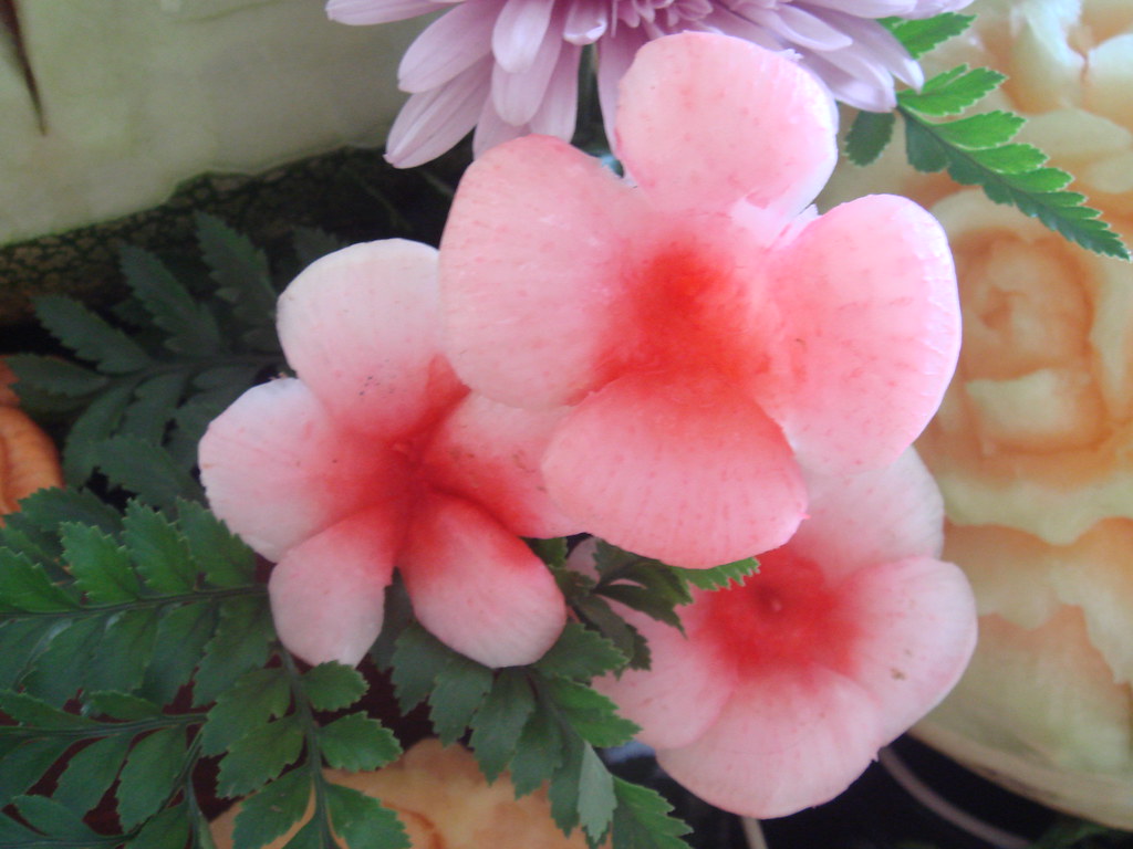 Carved Daikon flower Flower carved from daikon and dyed wi… Flickr